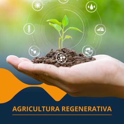 MOTTA EXPERIENCE - INSTAGRAM (13).jpg